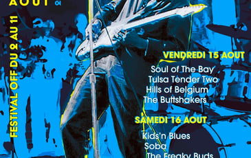 Bluesin'(a)out festival