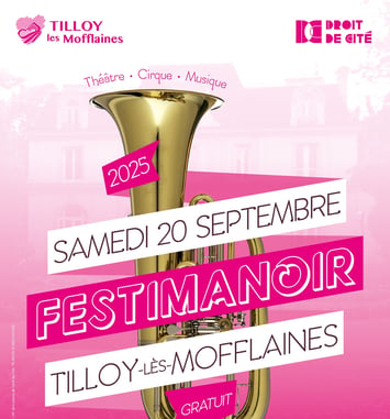 Festimanoir