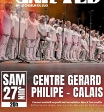 Chorus United by Le Chœur du Sud