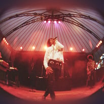 The Doors in Concert : Tribute The Doors