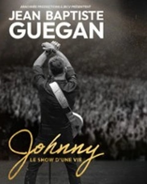 Jean-Baptiste Guégan : Johnny, le show d'une vie