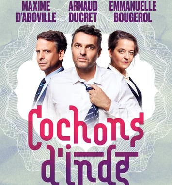 Cochons d'Inde