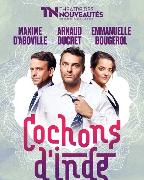 Cochons d'Inde