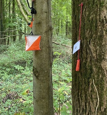 Parcours d'Orientation dans le parc du château