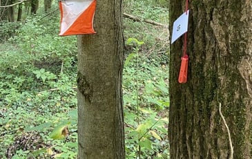 Parcours d'Orientation dans le parc du château