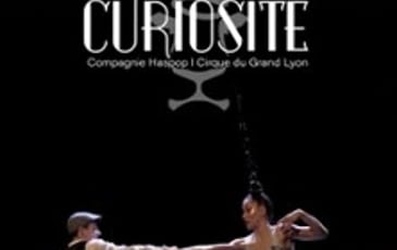 Curiosité
