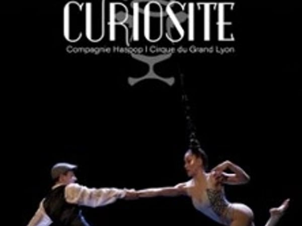 Curiosité
