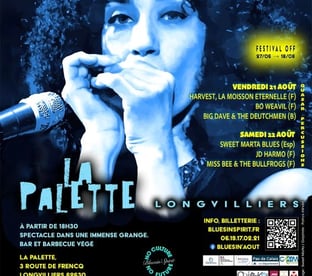 Bluesin'(a)out festival