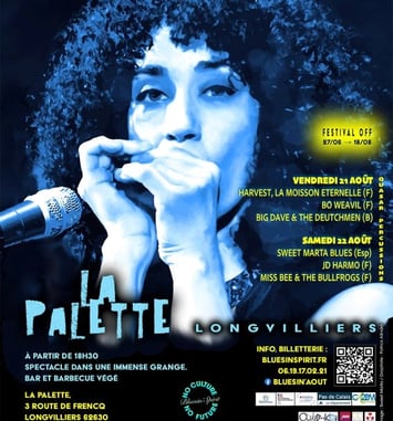 Bluesin'(a)out festival