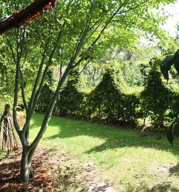 Visite du jardin
