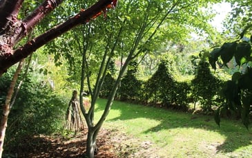 Visite du jardin