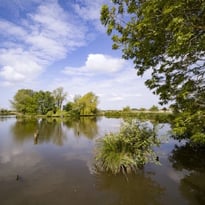 Marais & Réserve : visite du marais maraîcher et de la réserve naturelle des étangs du Romelaere.