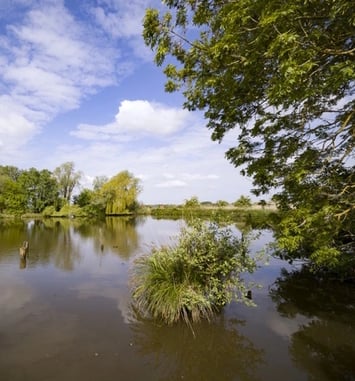 Marais & Réserve : visite du marais maraîcher et de la réserve naturelle des étangs du Romelaere.