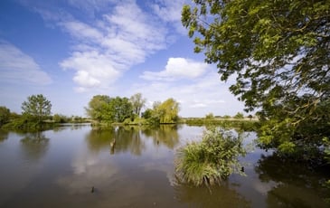 Marais & Réserve : visite du marais maraîcher et de la réserve naturelle des étangs du Romelaere.