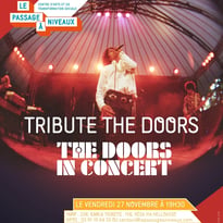 The Doors in Concert