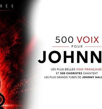 500 Voix pour Johnny