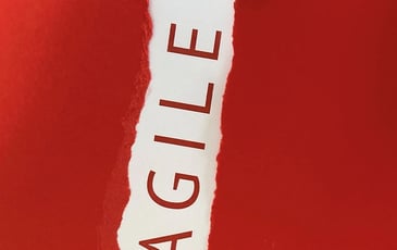 Exposition "Fragile" par l'Association Artzimut