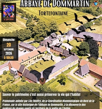 Promenade autour des chauve-souris de l'Abbaye de Dommartin