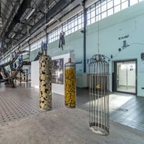 Exposition & installations au 9-9bis, site minier d'Oignies