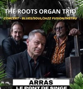 The Roots Organ Trio
