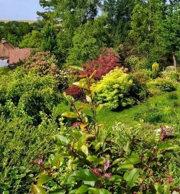 Flânerie au Jardin Gardincour