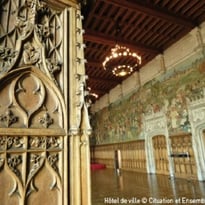 Hôtel de Ville d'Arras, Visite des Salles d'Apparat