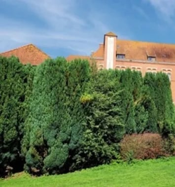 Visite de l'Abbaye de Belval-Troisvaux