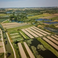 La route du marais maraîcher : visite guidée du marais Audomarois en bateau