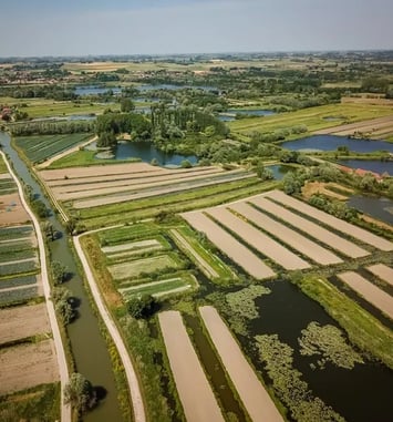 La route du marais maraîcher : visite guidée du marais Audomarois en bateau