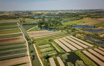 La route du marais maraîcher : visite guidée du marais Audomarois en bateau