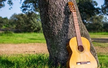 Concert "Duo 3" au Château des Pipots