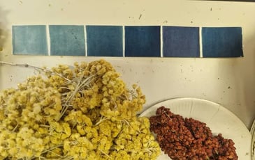 Encres végétales