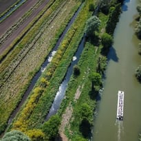 Croisière : Marais & Réserve