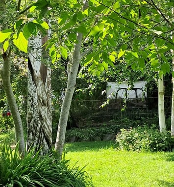 Photos au Jardin