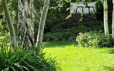 Photos au Jardin