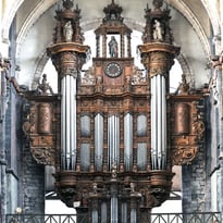Visites guidées : les orgues