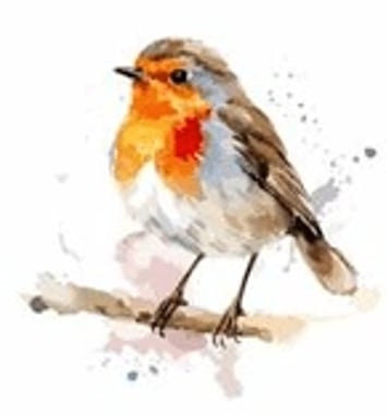 Expérience : RDV des bouts d'chou 3-5 ans, Cui-cui !