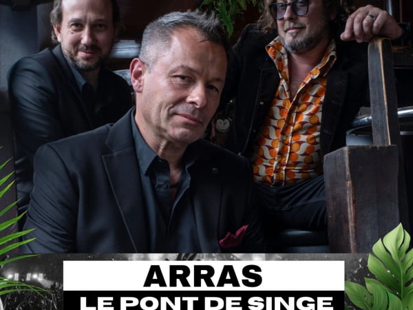 The Roots Organ Trio